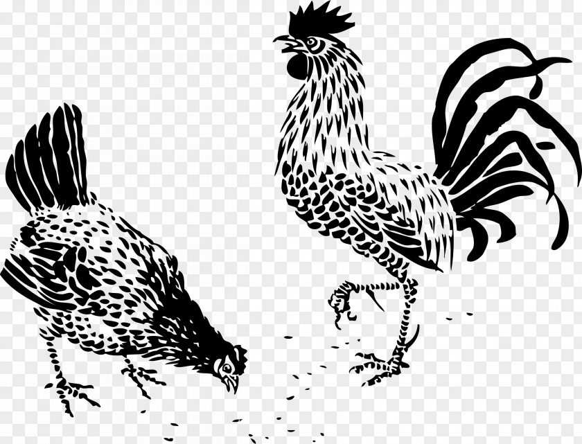 Rooster Chicken Drawing Clip Art PNG