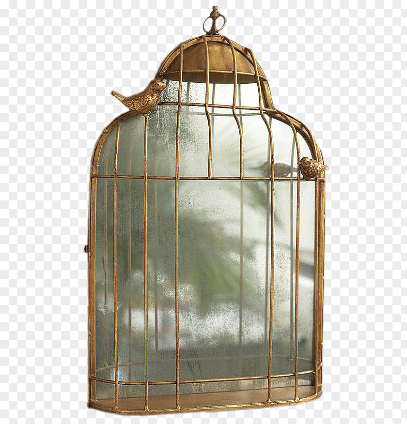 Cage Metal Bird Table Vintage Clothing PNG