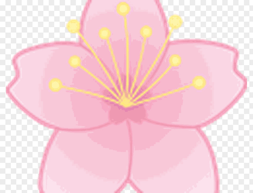 Design Pink M Flowering Plant Clip Art PNG