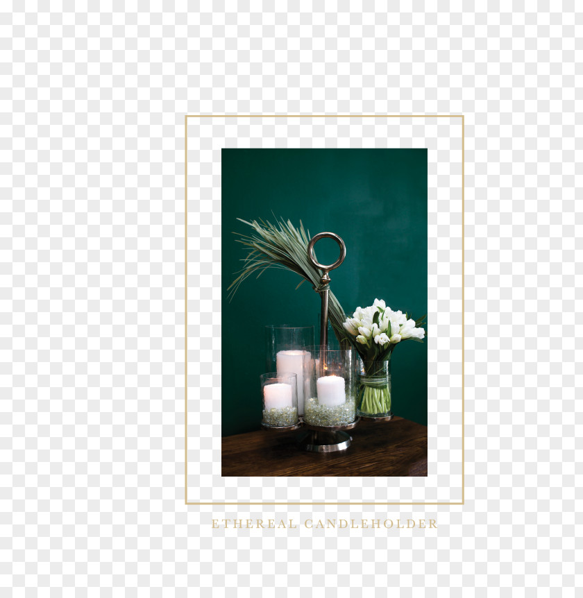 Flower Still Life Photography Picture Frames PNG