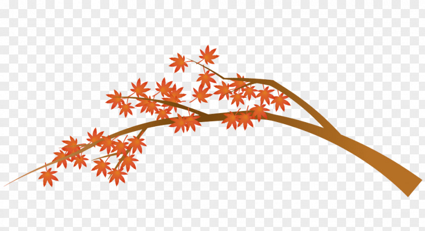 Autumn Leaf Color Illustration Brown PNG