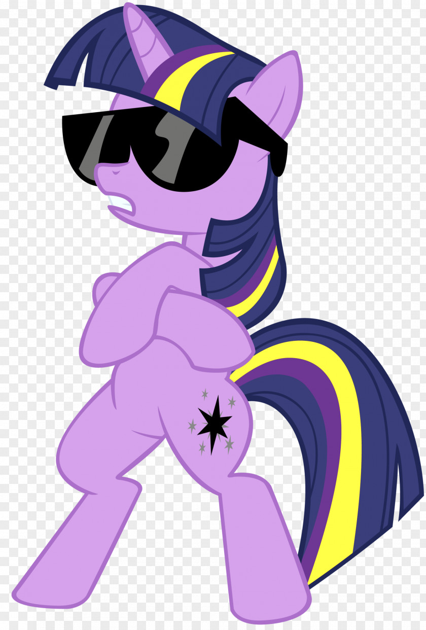 Deal With It Rainbow Dash Pinkie Pie Rarity Twilight Sparkle Pony PNG
