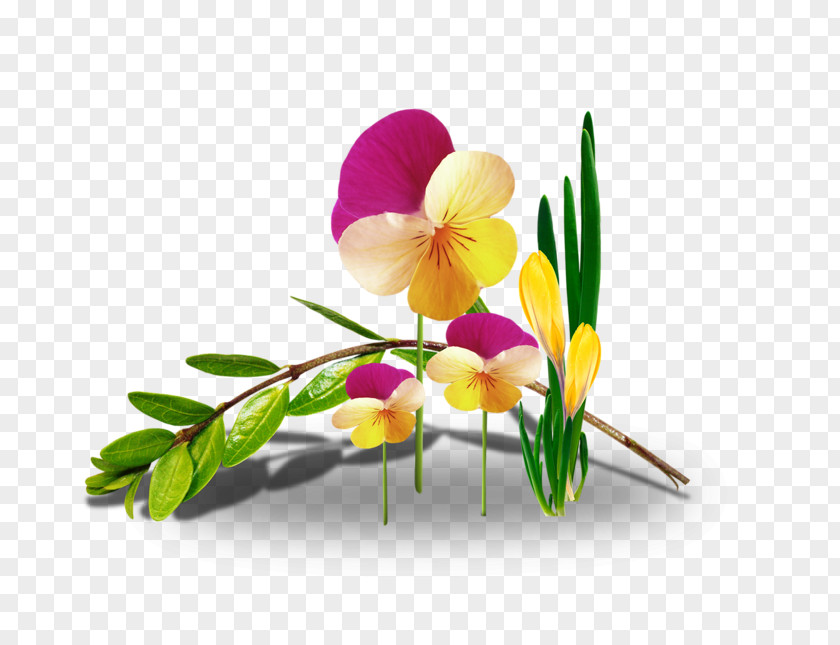 Flower Floral Design Desktop Wallpaper Blog Clip Art PNG