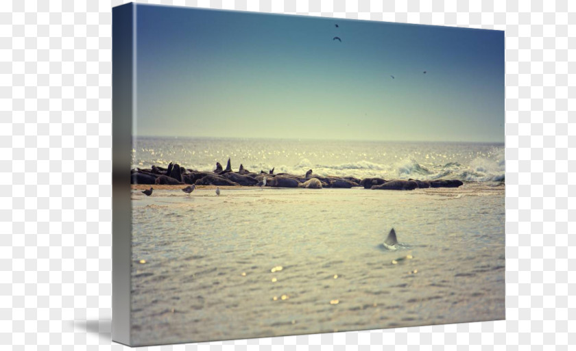 Sea Picture Frames Stock Photography Vacation PNG