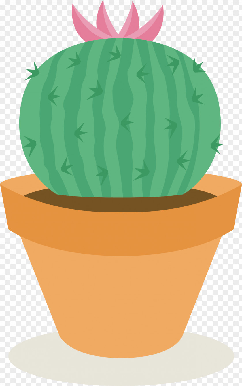 Thorn Ball Vector Cactaceae Thorns, Spines, And Prickles Clip Art PNG
