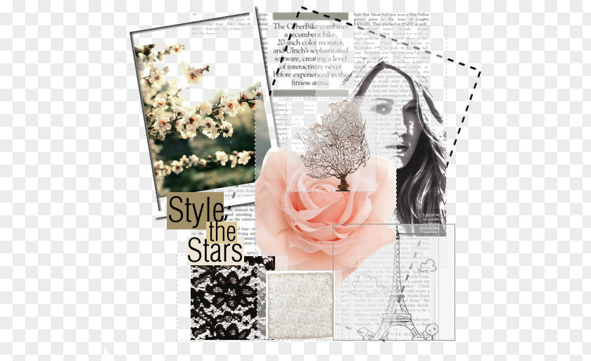 Collage Paper Picture Frames Petal Pattern PNG