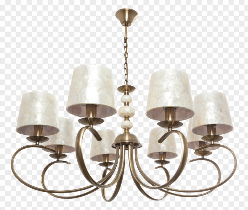 Light Chandelier Lamp Shades Nacre PNG