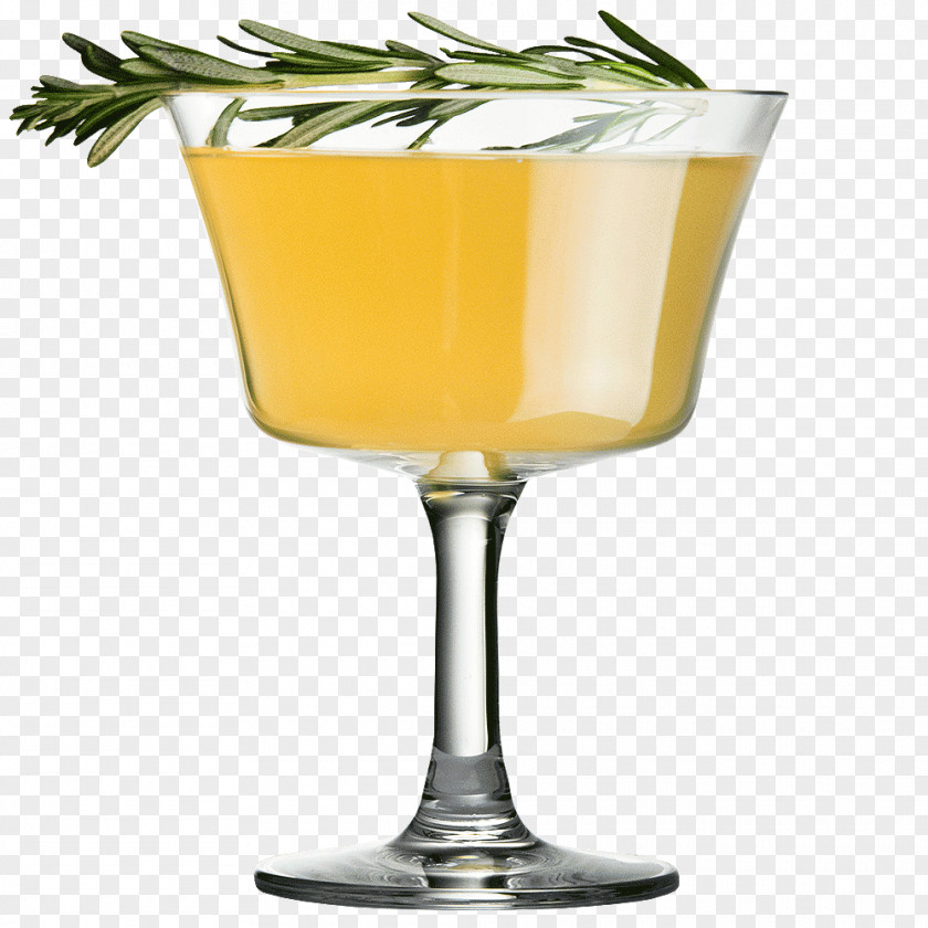 Martini Cocktail Garnish Fizz Champagne Glass PNG