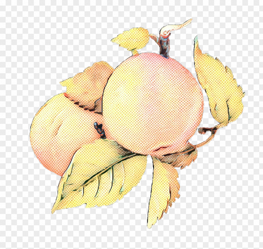 Plant Yellow Fruit Cartoon PNG