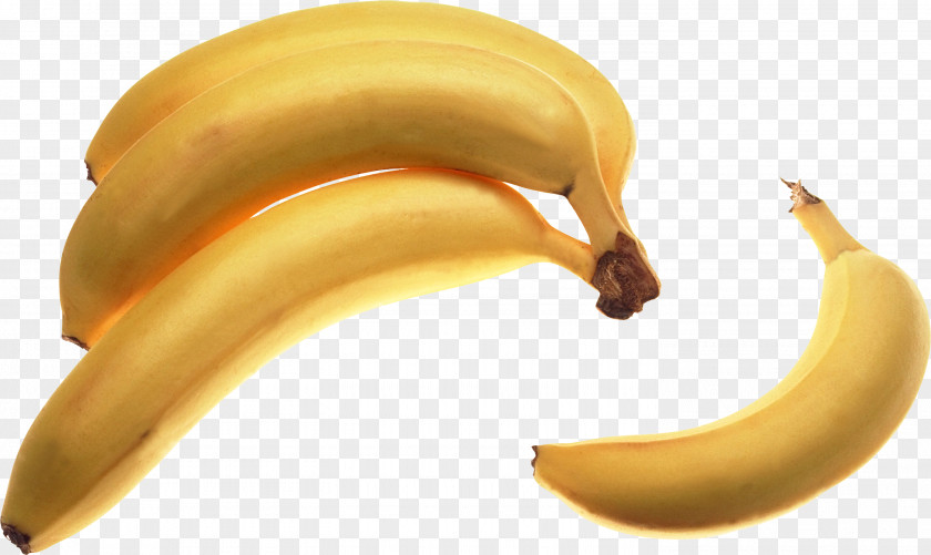 Banana Food Musa Basjoo Fruit Clip Art PNG