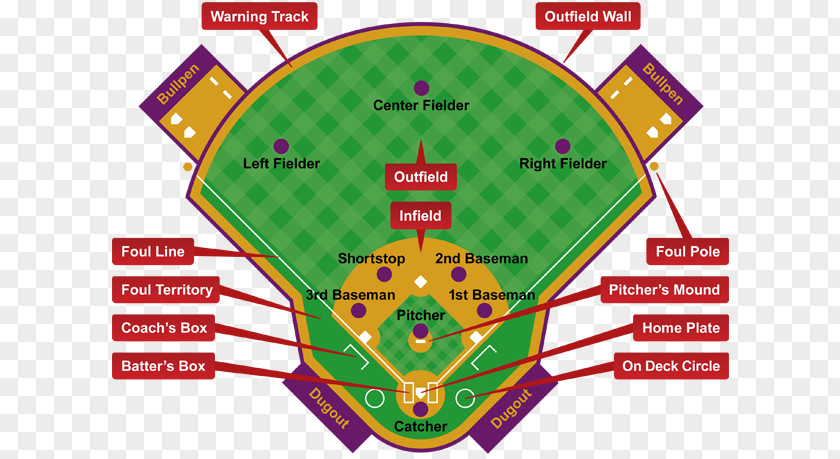 Baseball Positions Field Softball Sport PNG