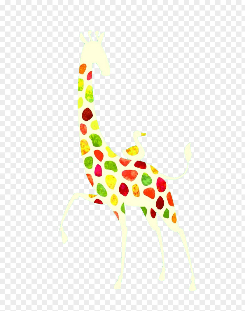 Giraffe Illustration PNG