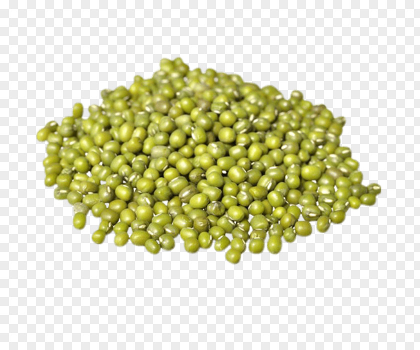 Mung Daal Sprouting Soybean Sprout Organic Food Bean PNG