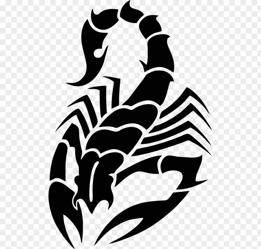 Scorpion Sleeve Tattoo PNG