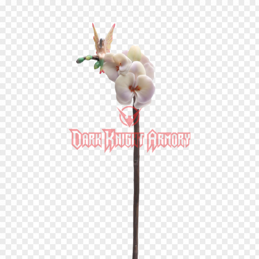 Fairy Cut Flowers Plant Stem Moth Orchids PNG