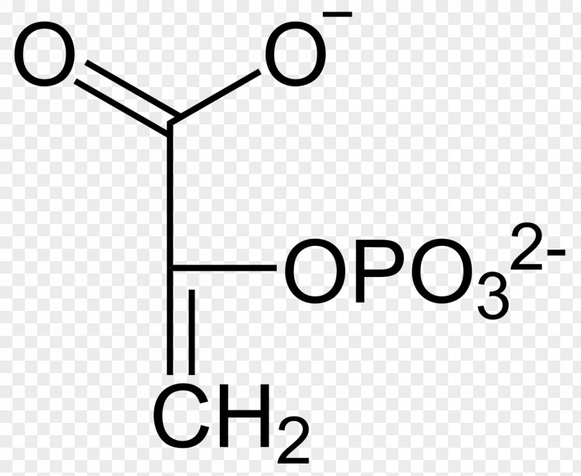 Glycolysis Acrylate Pyruvic Acid Chemistry PNG