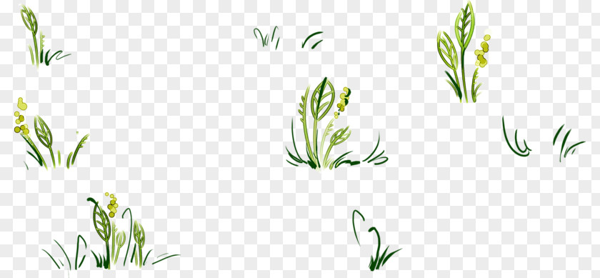Green Background Material Floral Design Grasses Pattern PNG