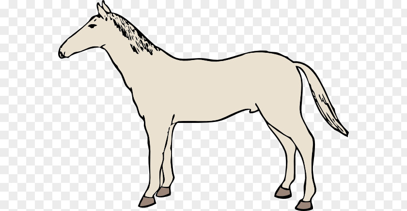 Horse Clip Mustang Equestrian Art PNG