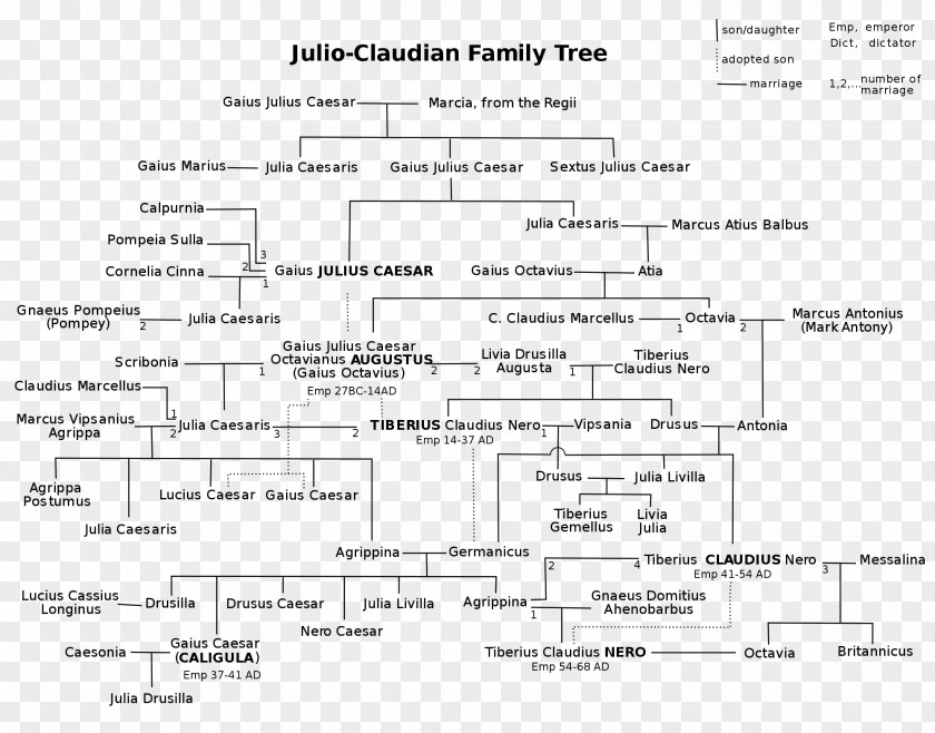 Julio-Claudian Dynasty Antigone Essay Writing PNG