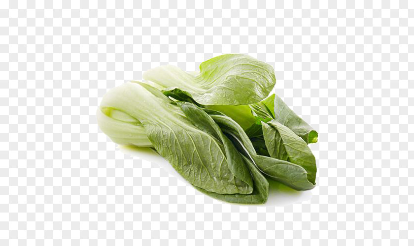 Organic Vegetables Rapeseed Romaine Lettuce COFCO Womaiwang Cruciferous Komatsuna PNG