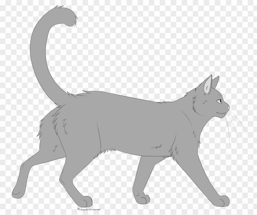 Cat Whiskers Line Art Domestic Short-haired PNG