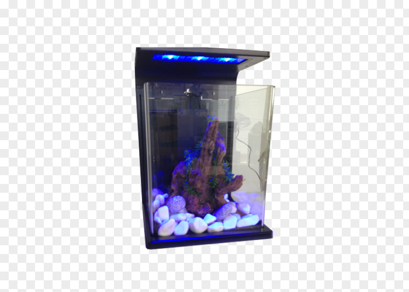 Light Aquarium Lighting BG PNG