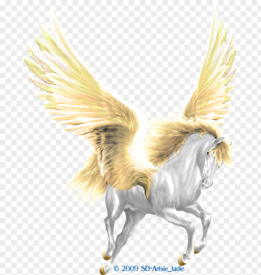 Pegasus Howrse Medusa Horse Perseus PNG