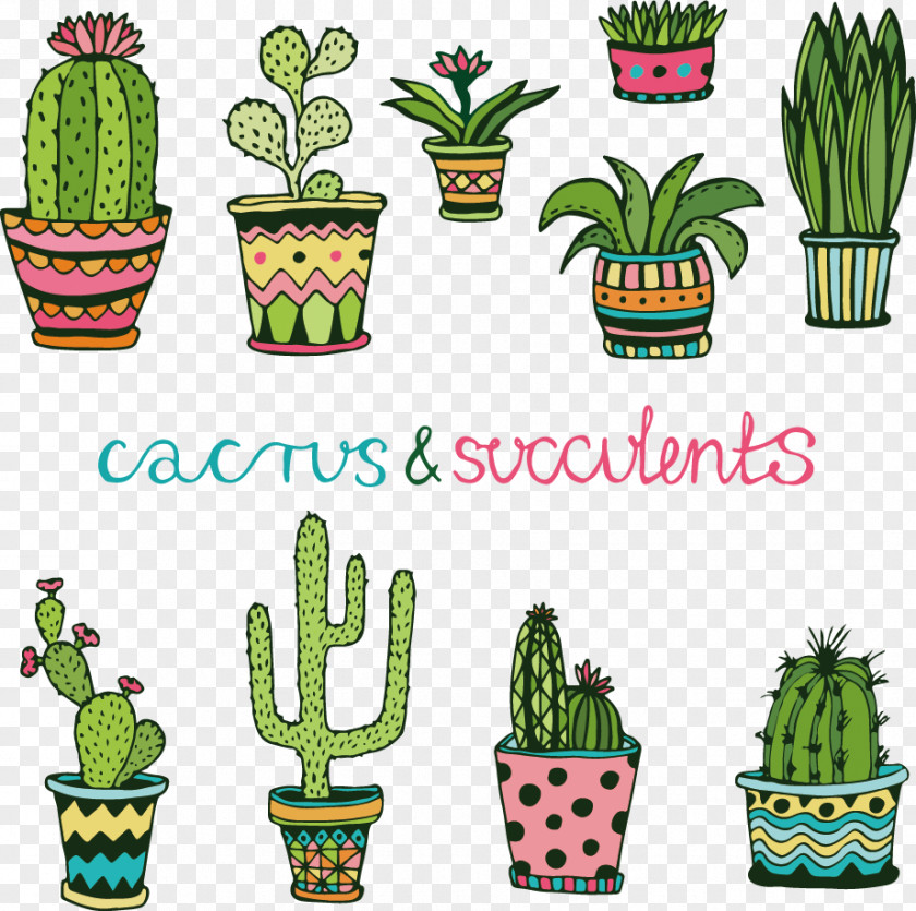 Vector Cartoon Cactus Cactaceae Succulent Plant Doodle Drawing PNG