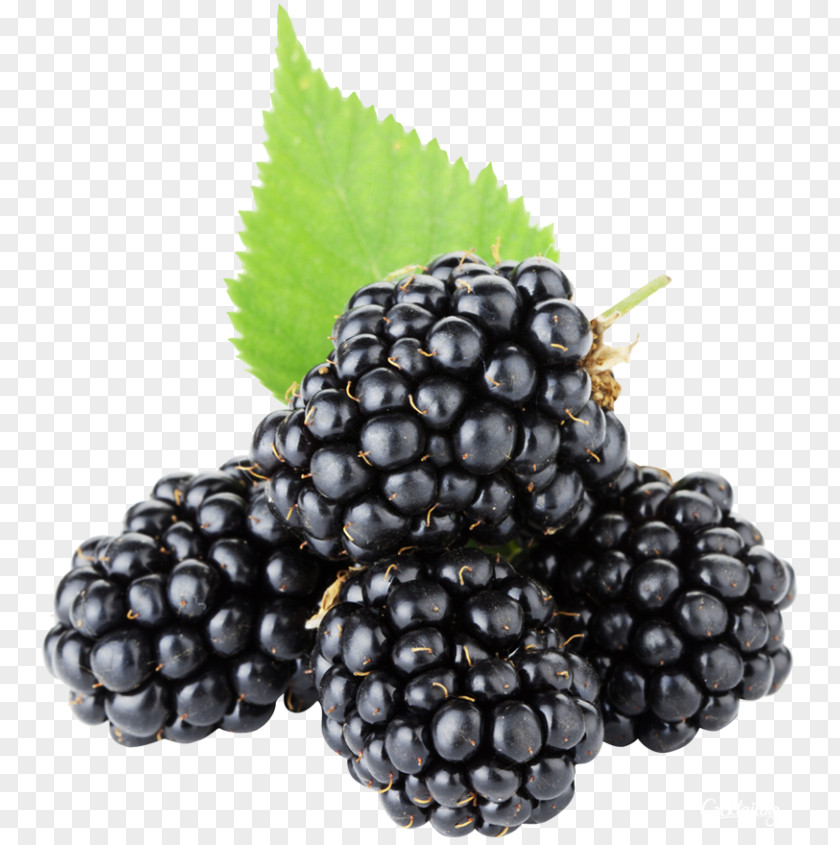 Blackberry Pie Fruit Berries Raspberry PNG