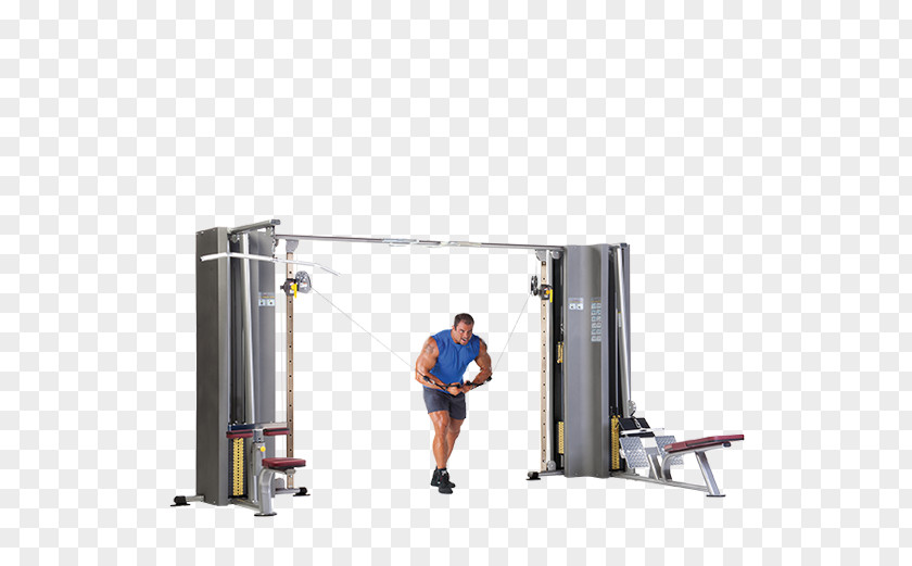 Jungle Gym Fitness Centre Exercise Equipment Physical PNG