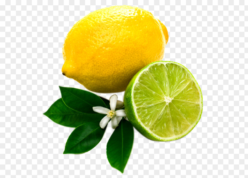 Lemon Fruit Key Lime Juice Photography PNG