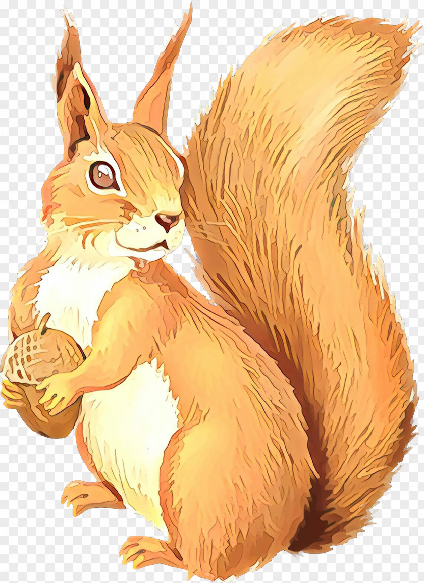 Squirrel Clip Art Chipmunk Vector Graphics PNG