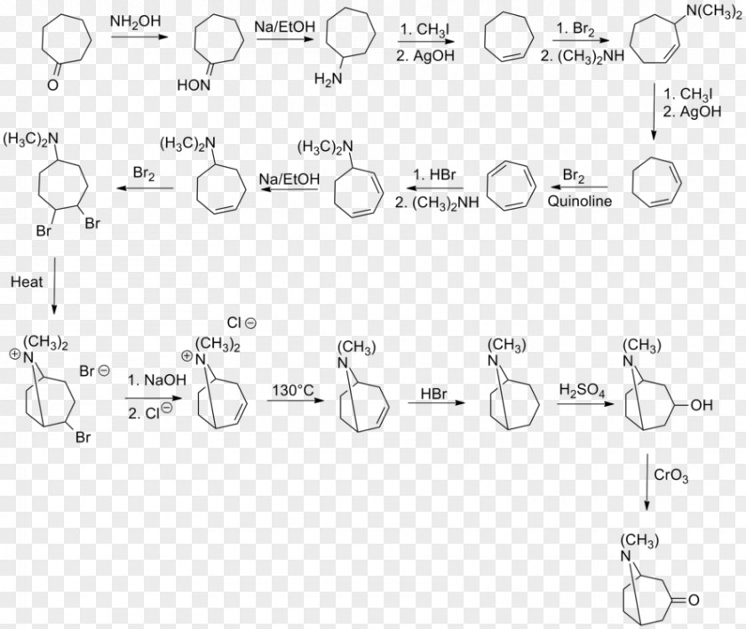 Wills Tropinone Chemical Synthesis Total Organic Chemistry PNG