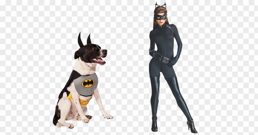 Batman Batgirl Catwoman T-shirt Robin PNG
