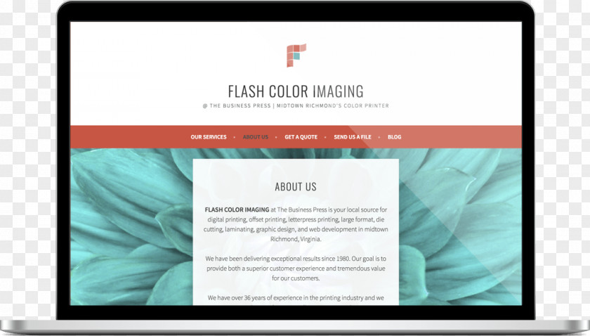 Color Flash Brand Display Advertising Multimedia Font PNG