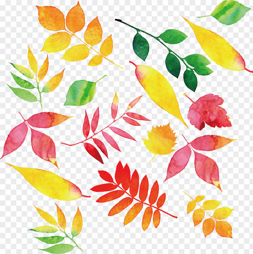 Color Watercolor Autumn Leaves Leaf PNG