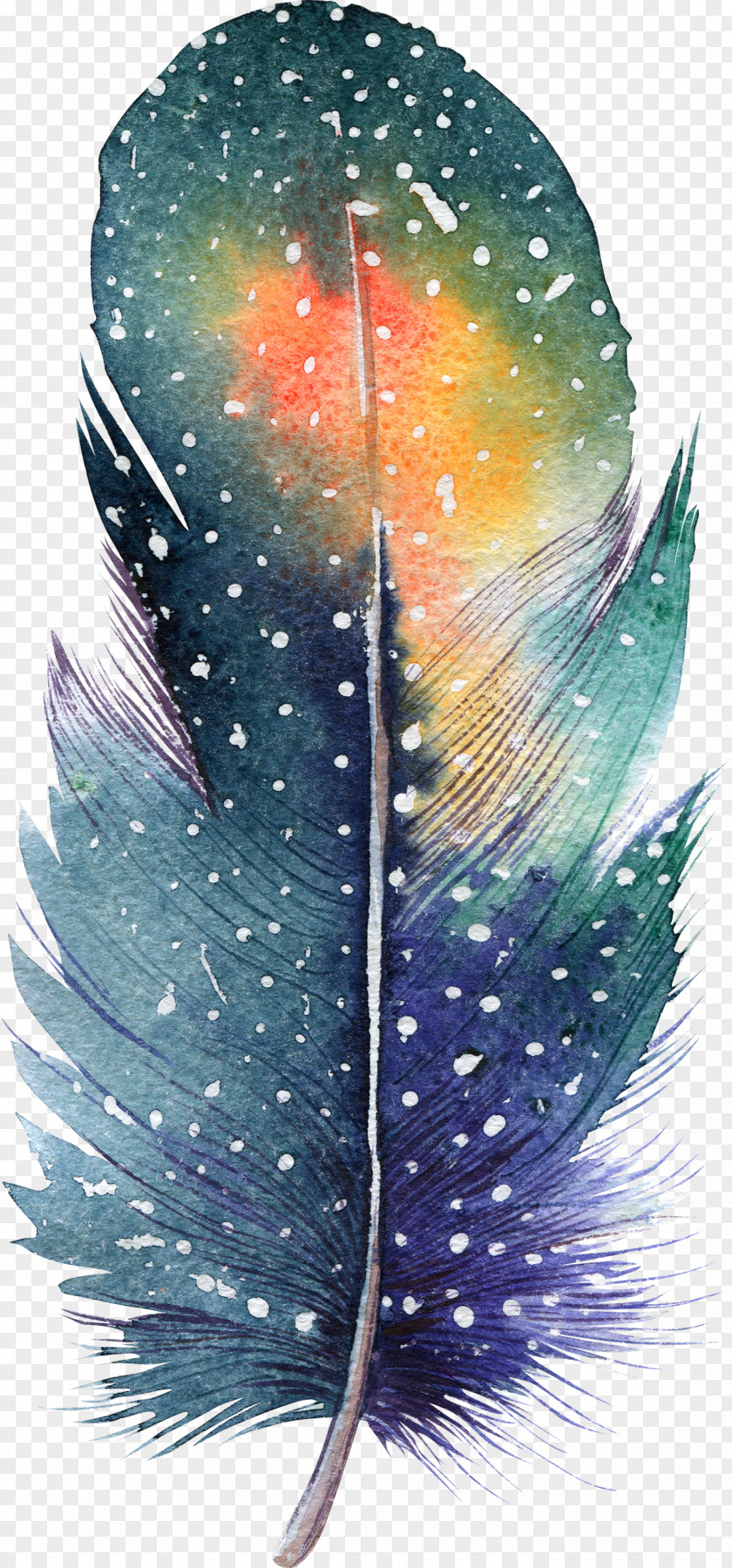 Feather Watercolor Painting Drawing Illustration PNG
