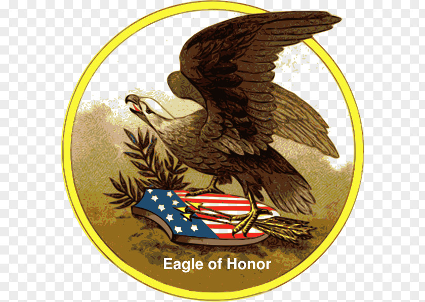 Honors Bald Eagle Clip Art PNG
