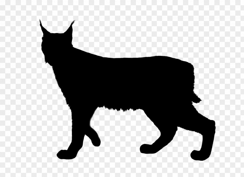 Ocelot Cat Lynxes Vector Graphics Royalty-free PNG