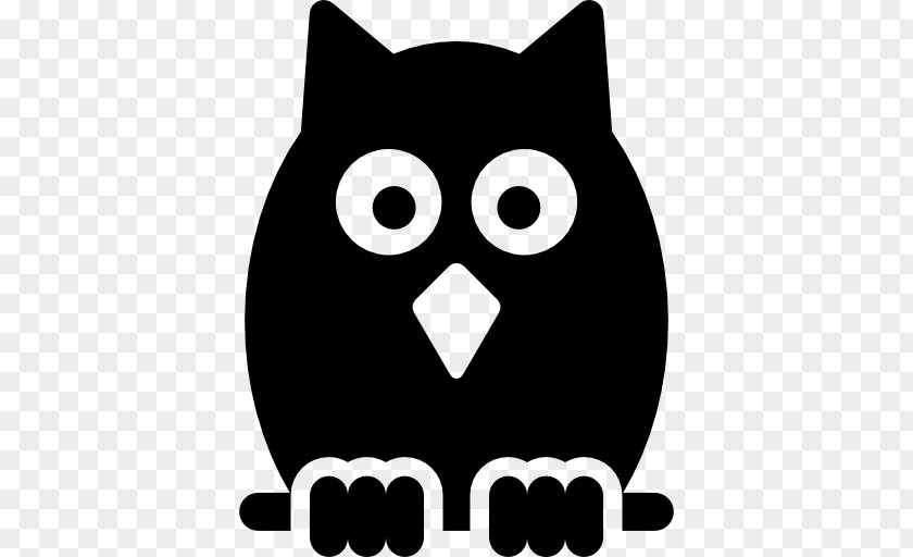 Owl Whiskers Clip Art PNG
