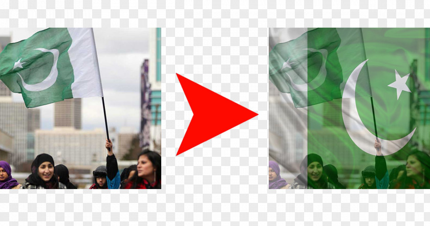Pakistani Flag Of Pakistan Pakistanis .com PNG