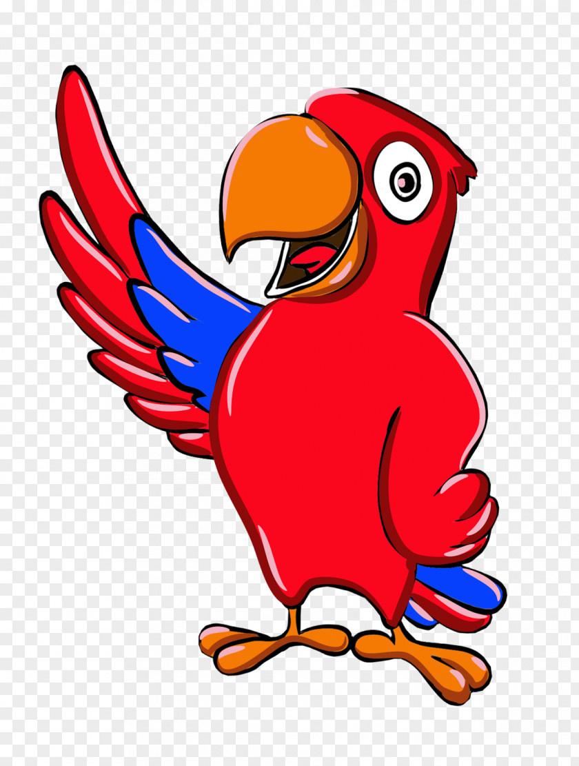 Parrot Bird PNG