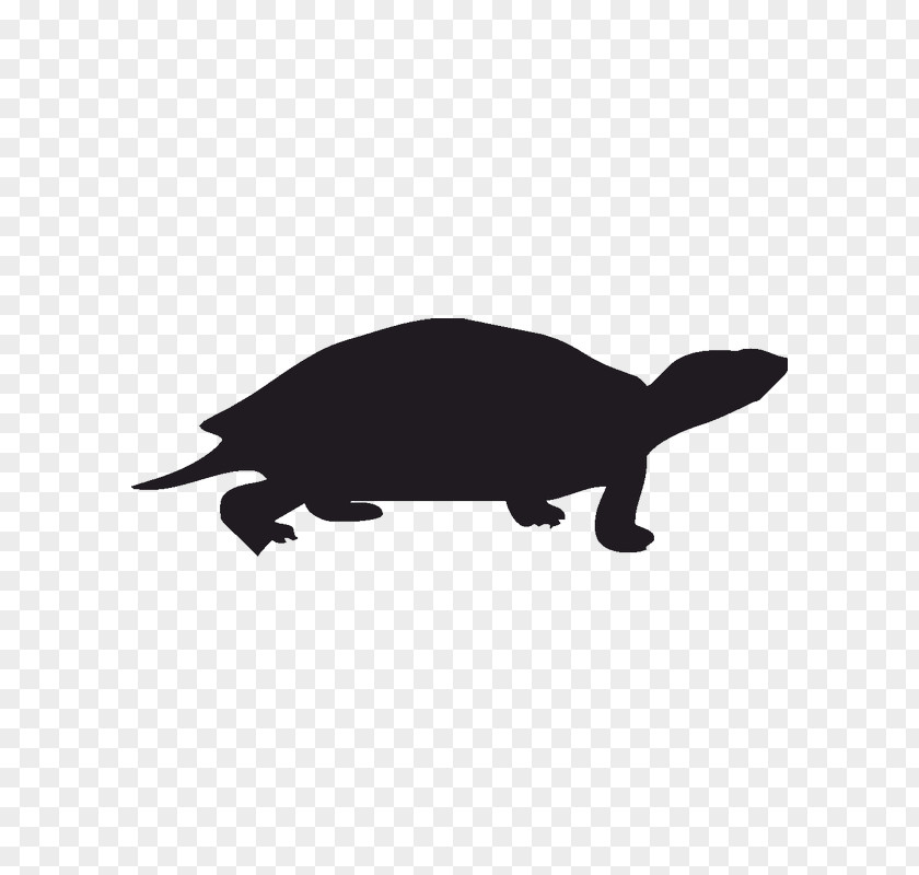 Turtle Sea Silhouette PNG