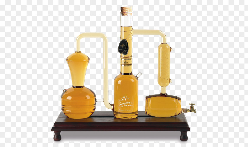 Wine Liqueur Grappa Distillation Distilled Beverage PNG