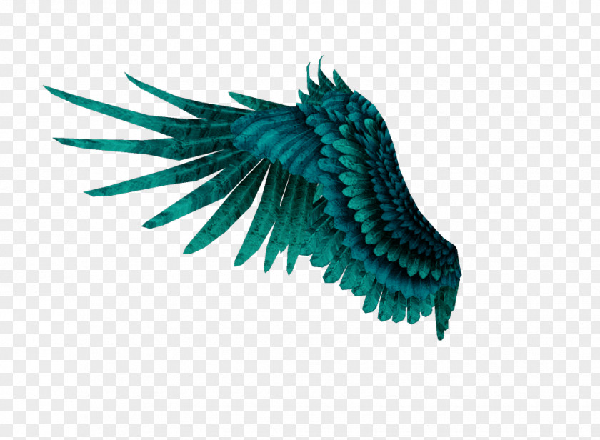 Wings Wing PNG