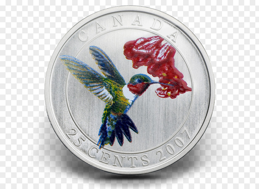 Bird Hummingbird Quarter Coin Royal Canadian Mint PNG