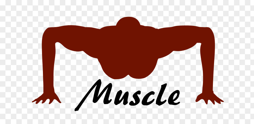 Bodybuilding Logo Human Clip Art Font Text PNG