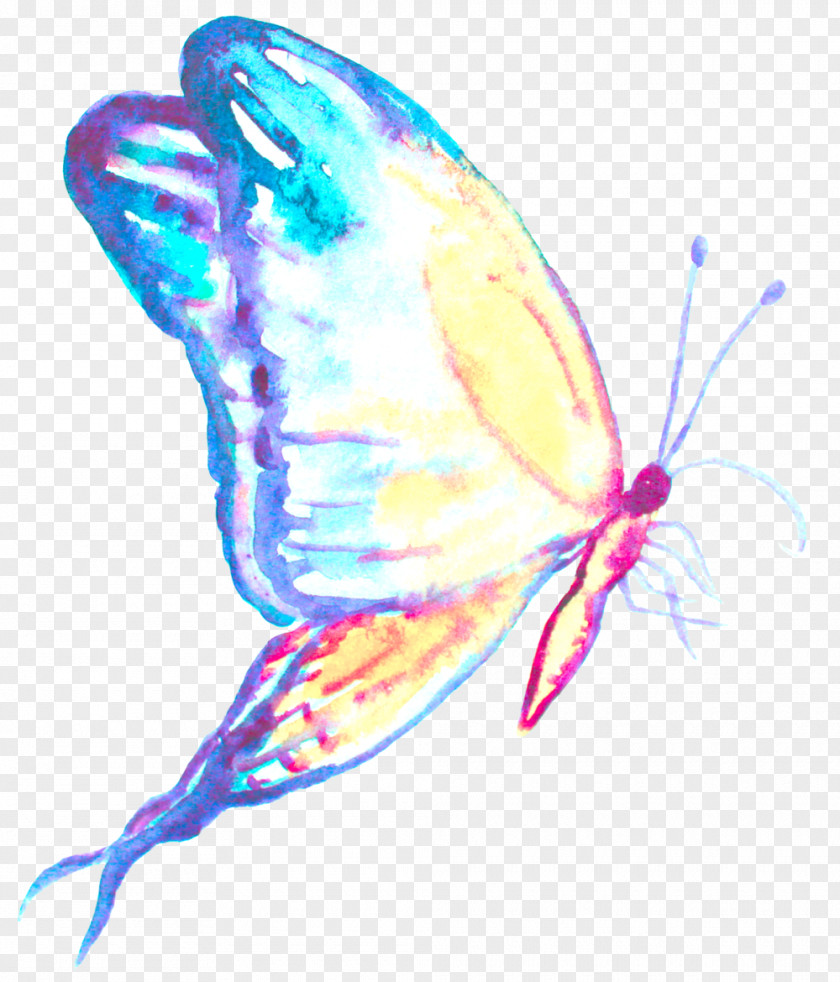 Butterfly Ulysses Tattoo Insect Blue PNG