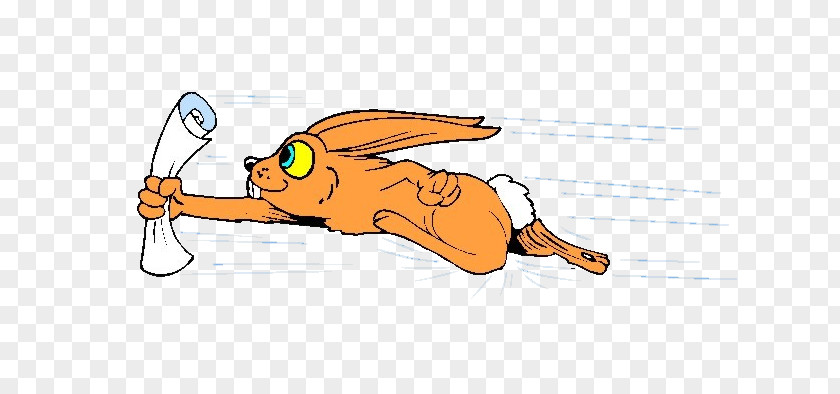 Cute Bunny Hare Cartoon Rabbit Illustration PNG