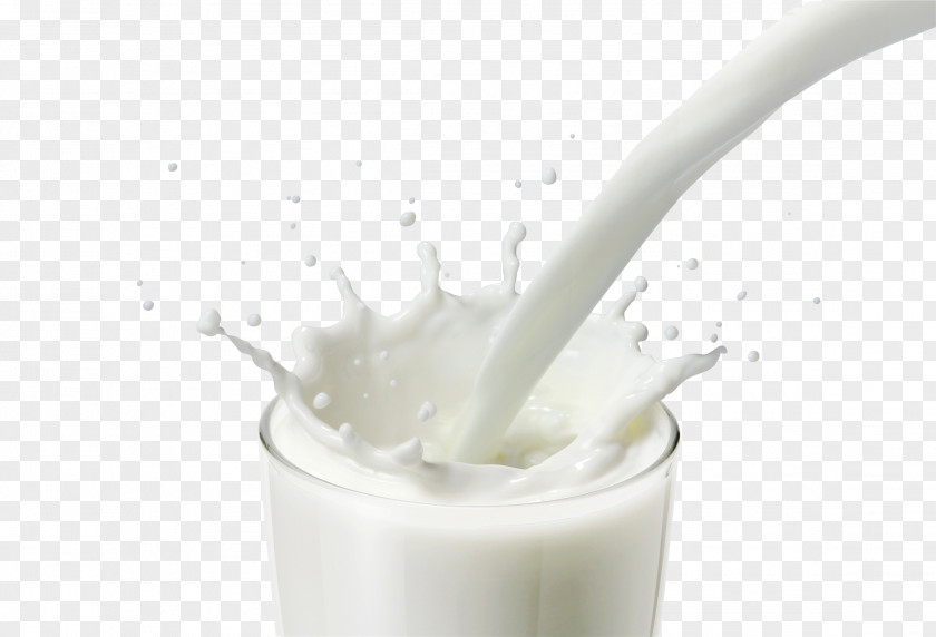 The Glass Over Milk Goat Cattle PNG